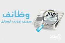 عدة وظائف في معهد الفيصل للدراسات الدبلوماسية