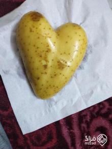 بطاطس نادرة  ومميزةعلى شكل قلب ❤